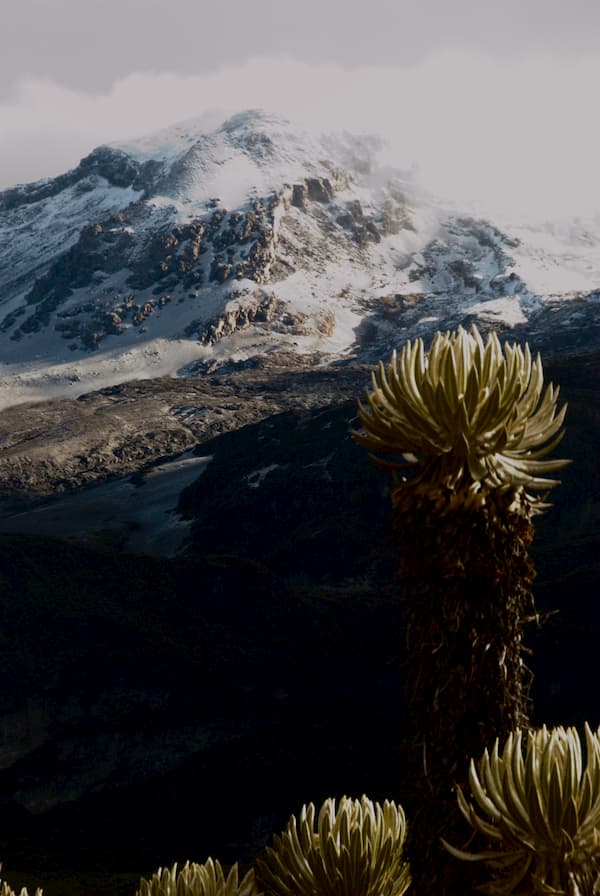 Volcán Nevado del Ruiz 5 volcan Nevado del Riuz Colombia