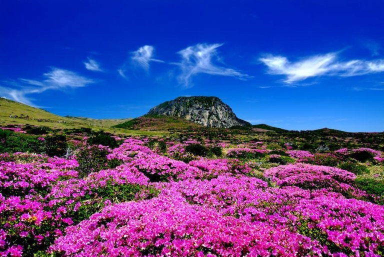 Volcán Hallasan 1 volcan hallasan corea del sur